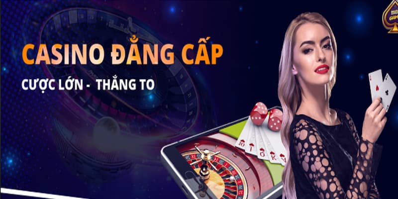 Cung cấp dịch vụ chăm sóc khách hàng chuyên nghiệp