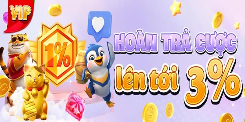 Hoàn Trả Cược